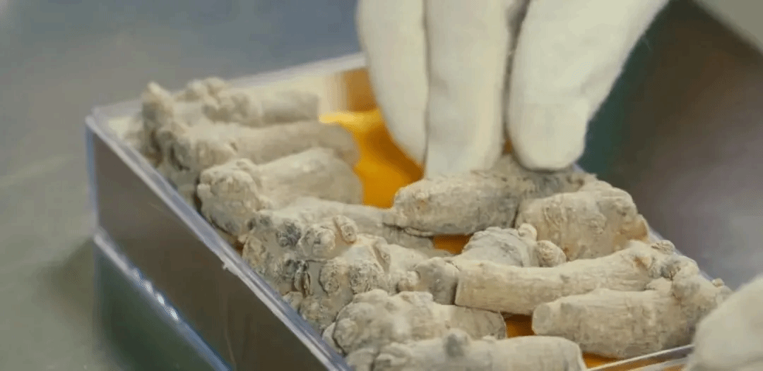 首页-PA集团有限公司官网入口