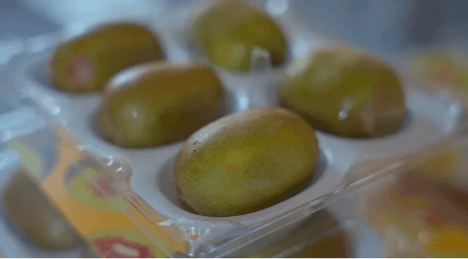 首页-PA集团有限公司官网入口