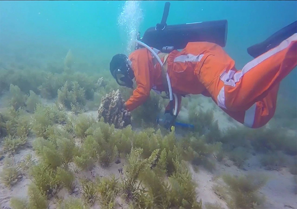 首页-PA集团有限公司官网入口