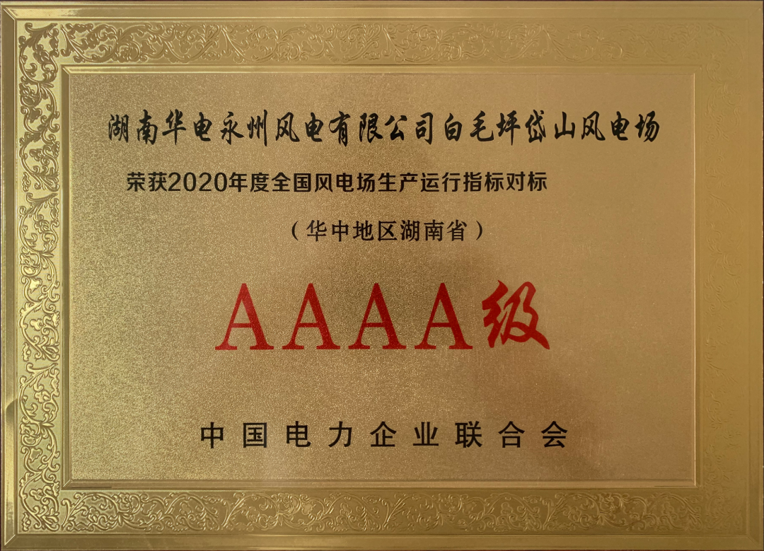 首页-PA集团有限公司官网入口