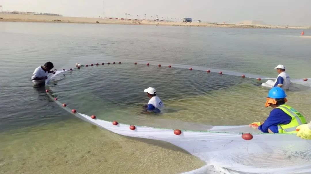 首页-PA集团有限公司官网入口