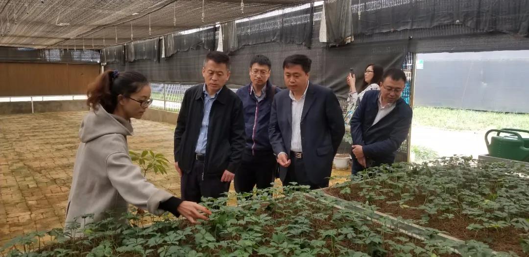 首页-PA集团有限公司官网入口