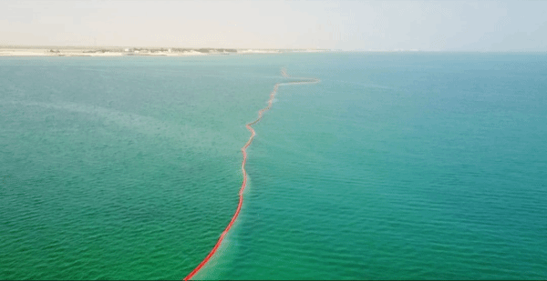 FEEB8AC7073C707D4DBF0965E6A_0575FE4F_10110