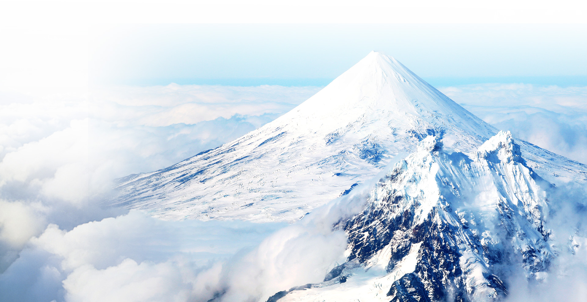 首页-PA集团有限公司官网入口